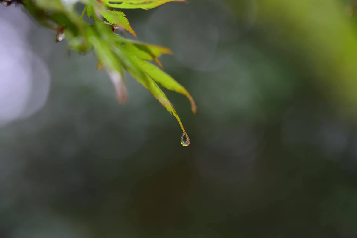 b0346568_23345135.jpg