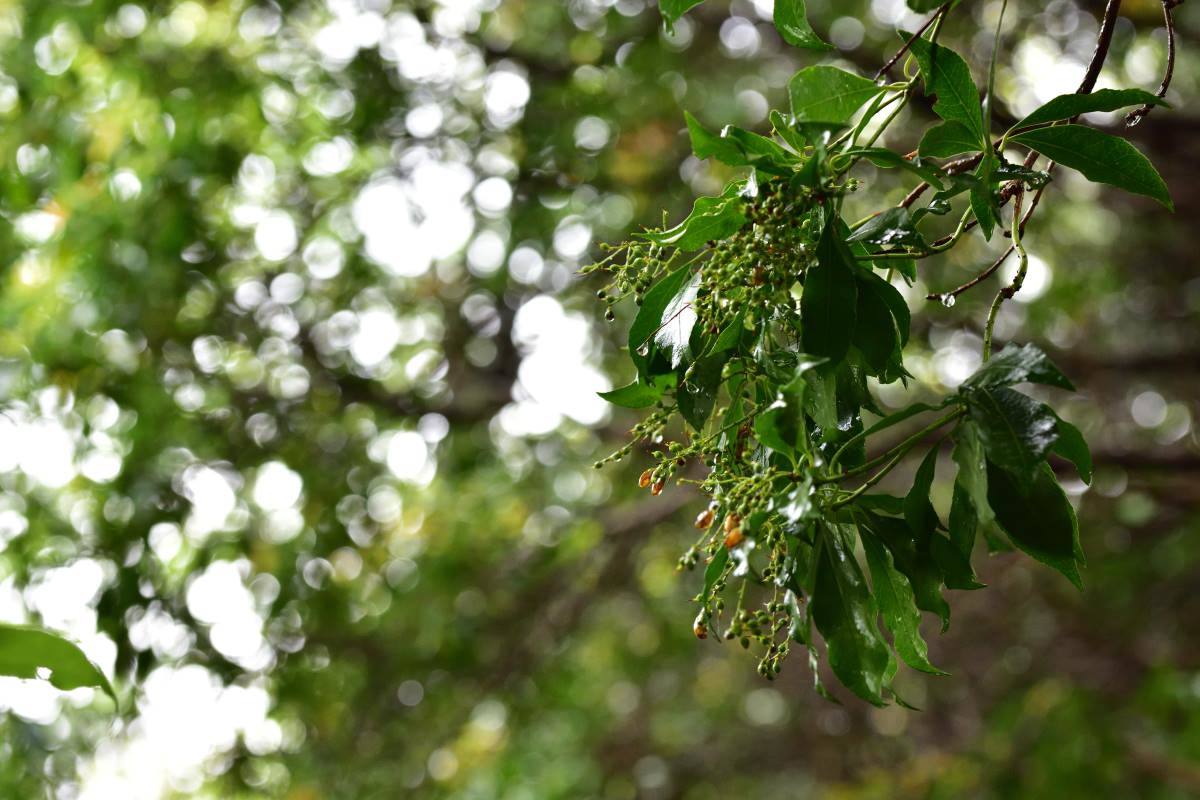 b0346568_23525313.jpg