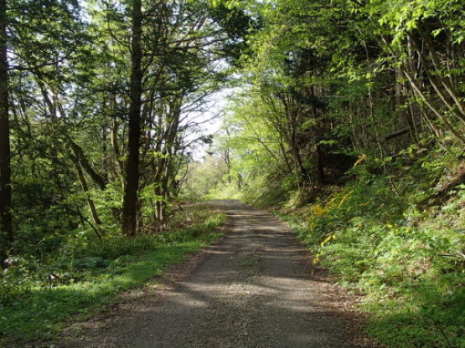 a0279883_13235476.jpg