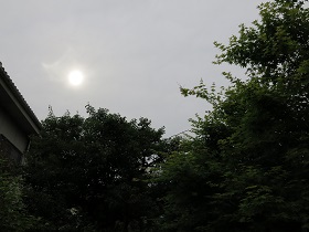 e0130185_16552228.jpg