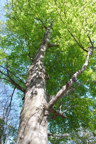 a0133886_20544896.jpg