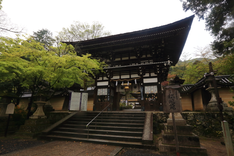 e0051888_3374930.jpg