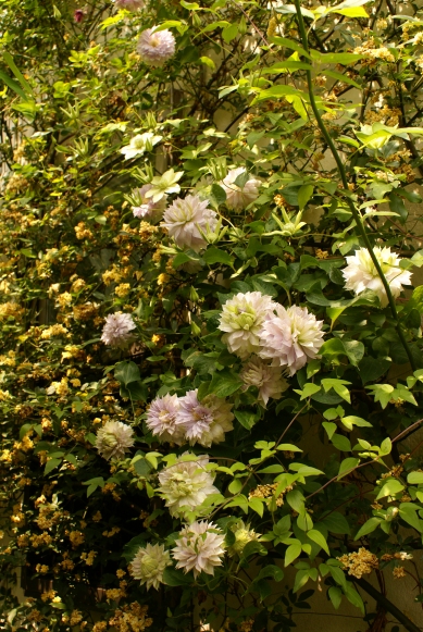 d0166389_0191331.jpg