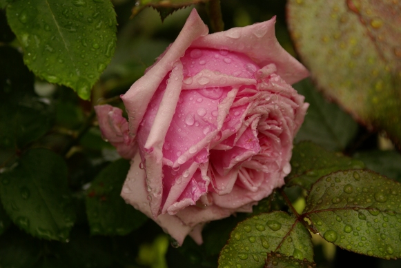 d0166389_092449.jpg