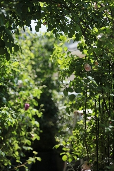 e0209997_1222517.jpg