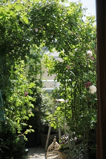 e0209997_1224692.jpg