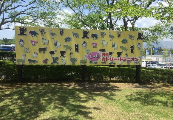 b0188998_17061262.jpeg