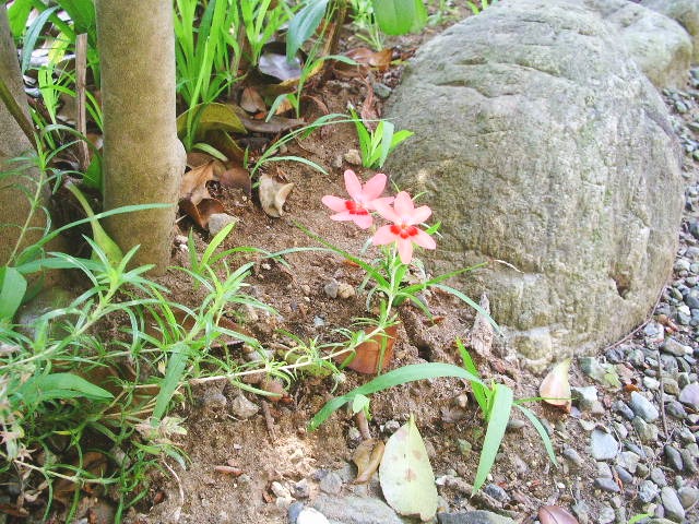 e0025300_21295230.jpg