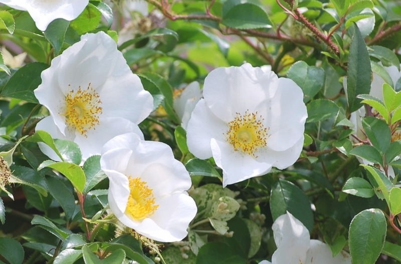 e0025300_2185513.jpg