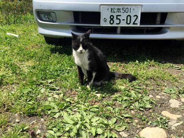 d0024504_01022090.jpg