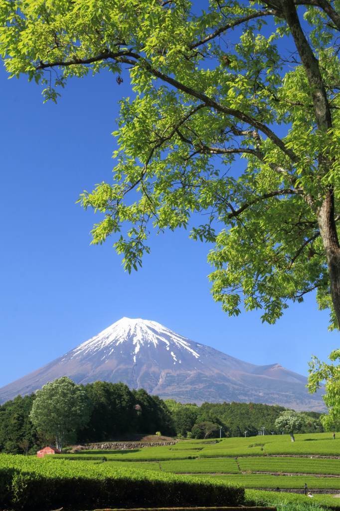 a0188405_17592159.jpg