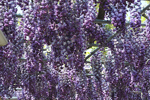 a0278809_9155746.jpg