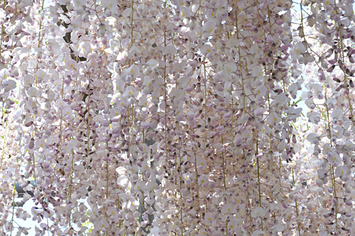a0278809_9191787.jpg
