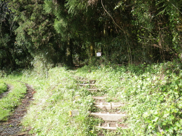 d0006512_14564287.jpg