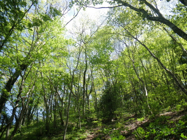 d0006512_16114286.jpg