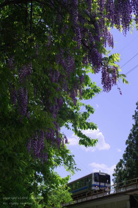 d0309612_0501762.jpg
