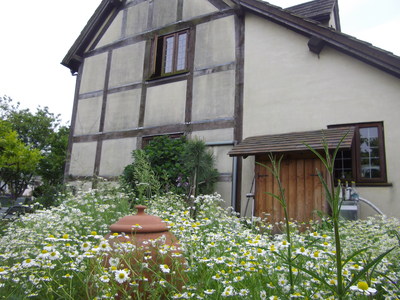 e0239312_2262465.jpg