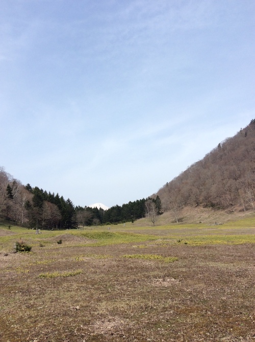 e0052716_10361940.jpg