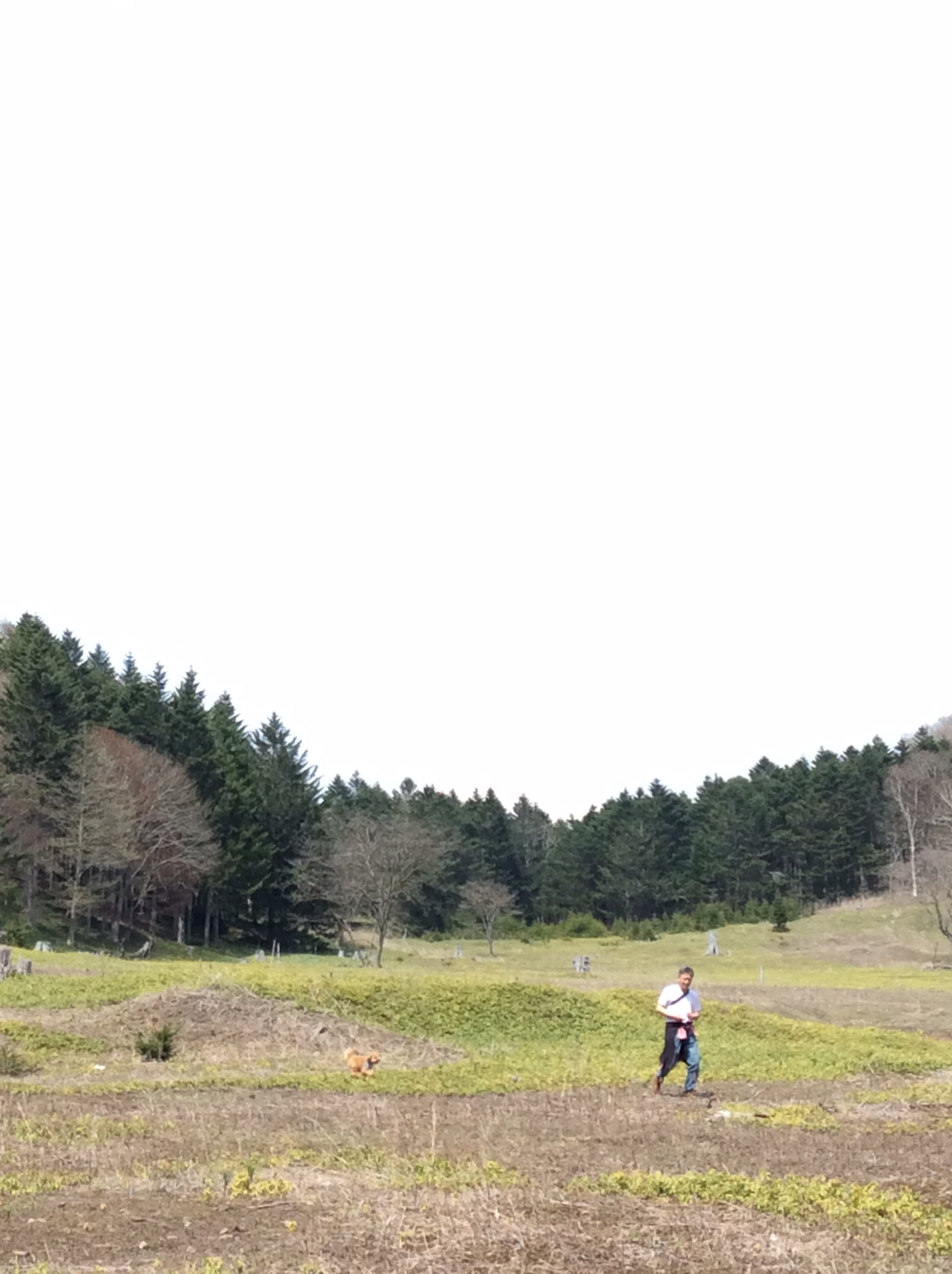e0052716_10363366.jpg