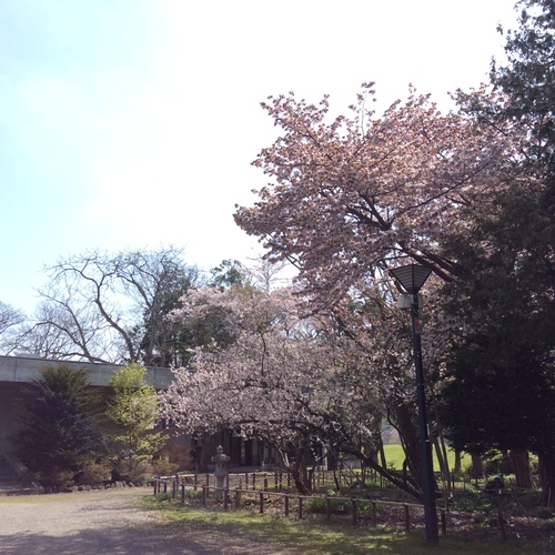 e0052716_9583813.jpg