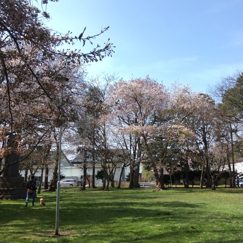 e0052716_959721.jpg