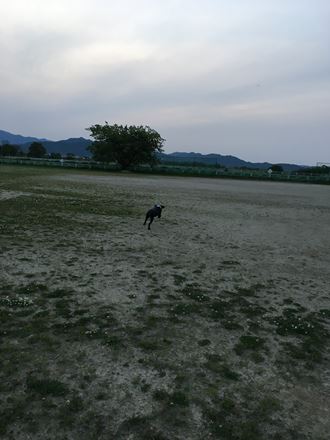 c0114121_002896.jpg