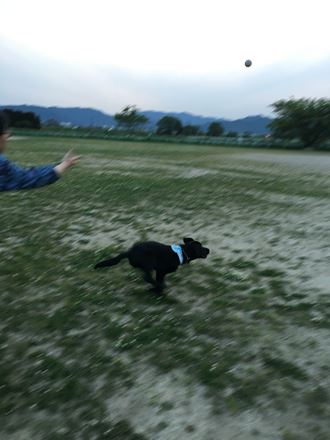 c0114121_0281352.jpg