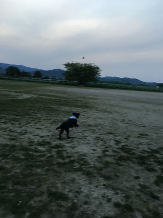c0114121_0282931.jpg