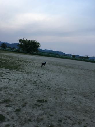 c0114121_0283533.jpg
