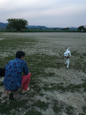 c0114121_083214.jpg
