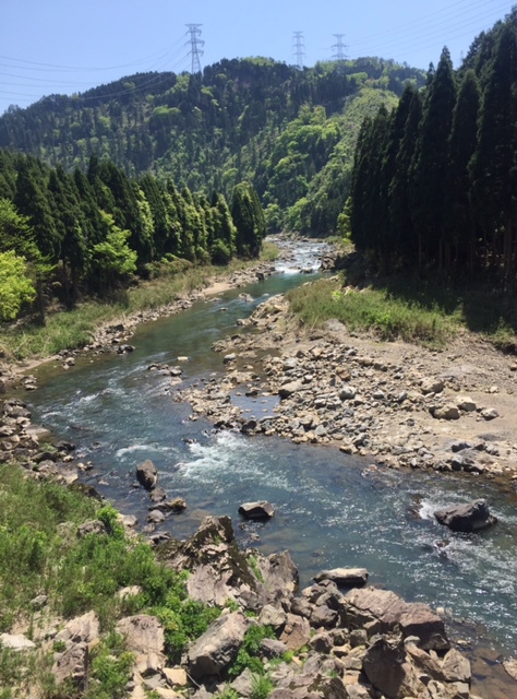 c0188525_172692.jpg