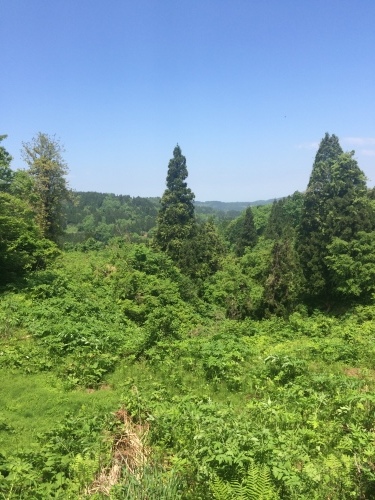 e0147226_14193351.jpeg