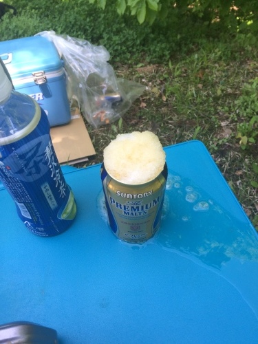 e0147226_14203017.jpeg