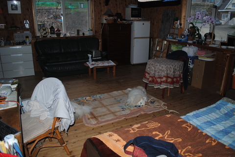 e0291827_12542983.jpg