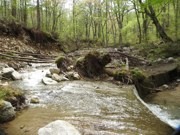f0118332_2324724.jpg