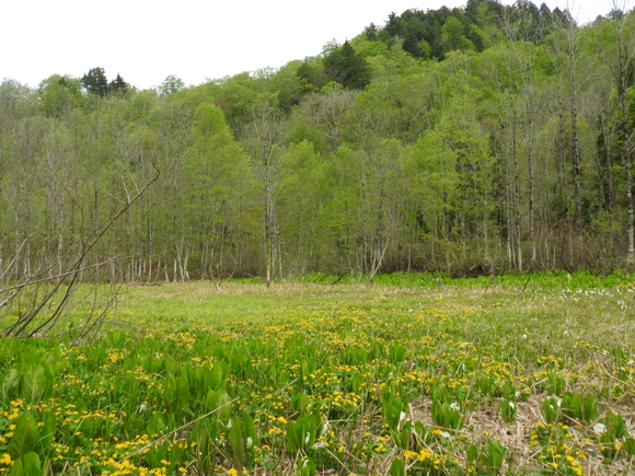 f0118332_2382186.jpg