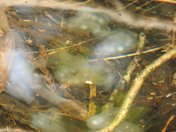 f0118332_2391673.jpg
