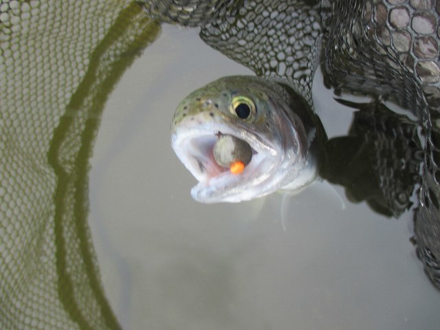 f0321433_23283576.jpg