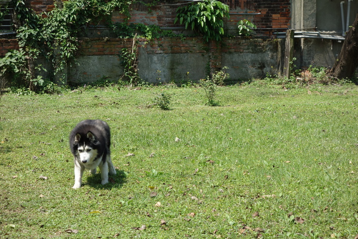 a0287336_123990.jpg