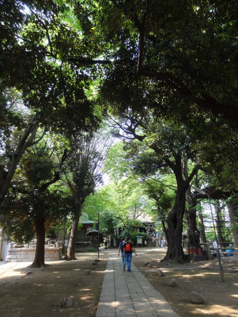 b0117437_9352975.jpg