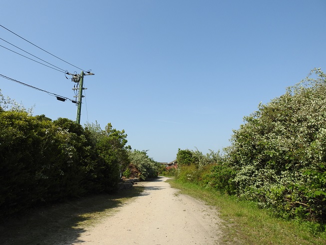 a0237349_1744680.jpg