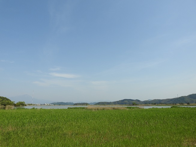 a0237349_1751979.jpg