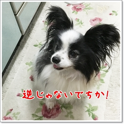 d0013149_00005651.jpg