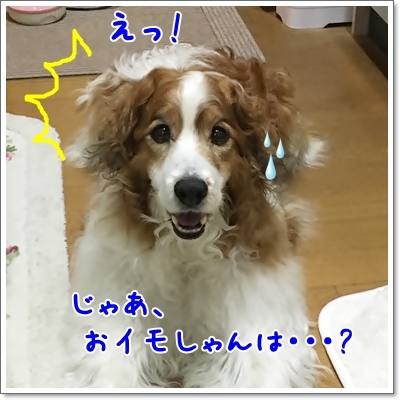 d0013149_00244336.jpg