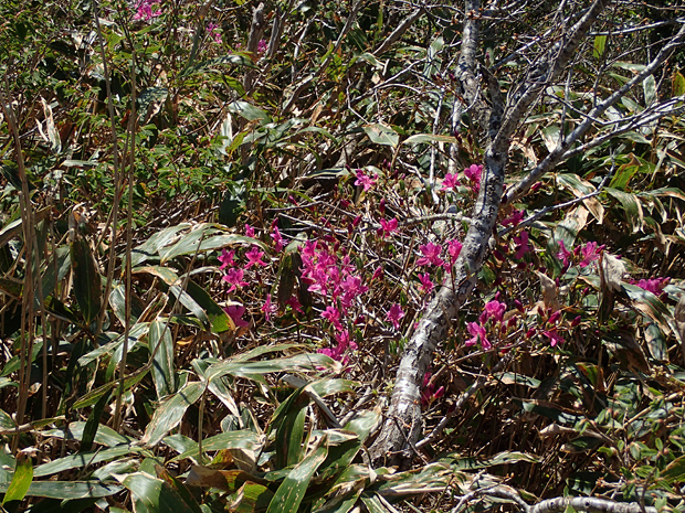 f0214649_5193881.jpg