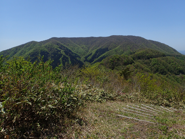 f0214649_521302.jpg