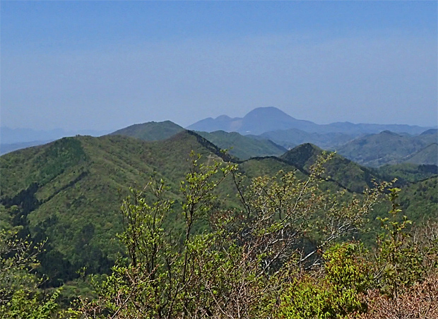 f0214649_523155.jpg