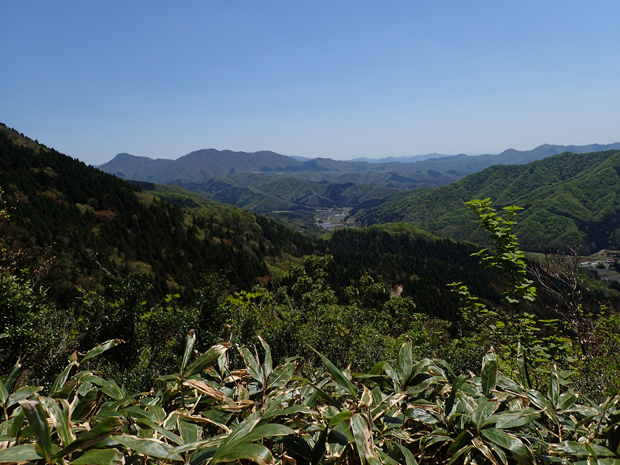 f0214649_530759.jpg