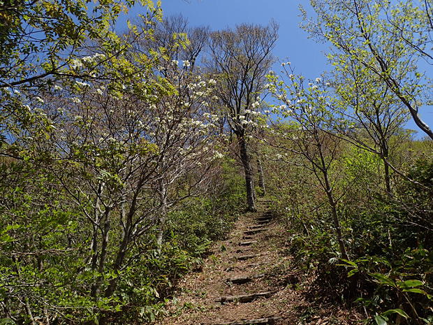 f0214649_5343386.jpg