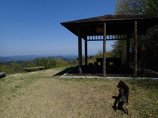 f0214649_542734.jpg